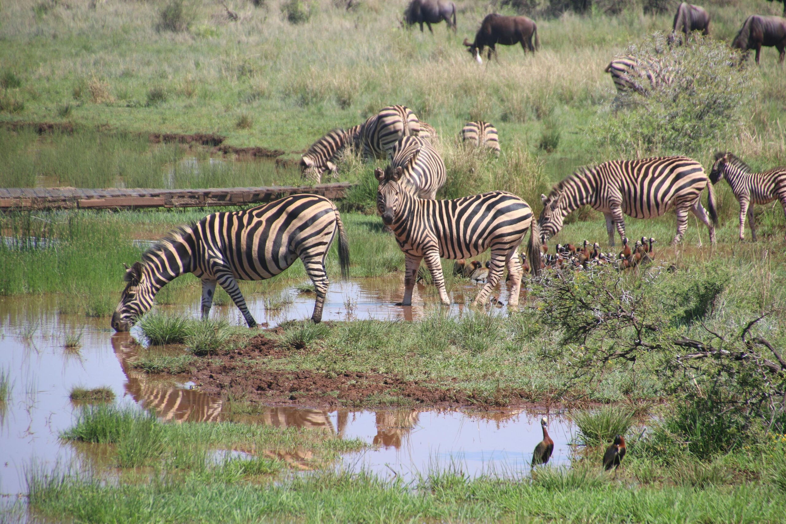The Wonders Of Tanzania
