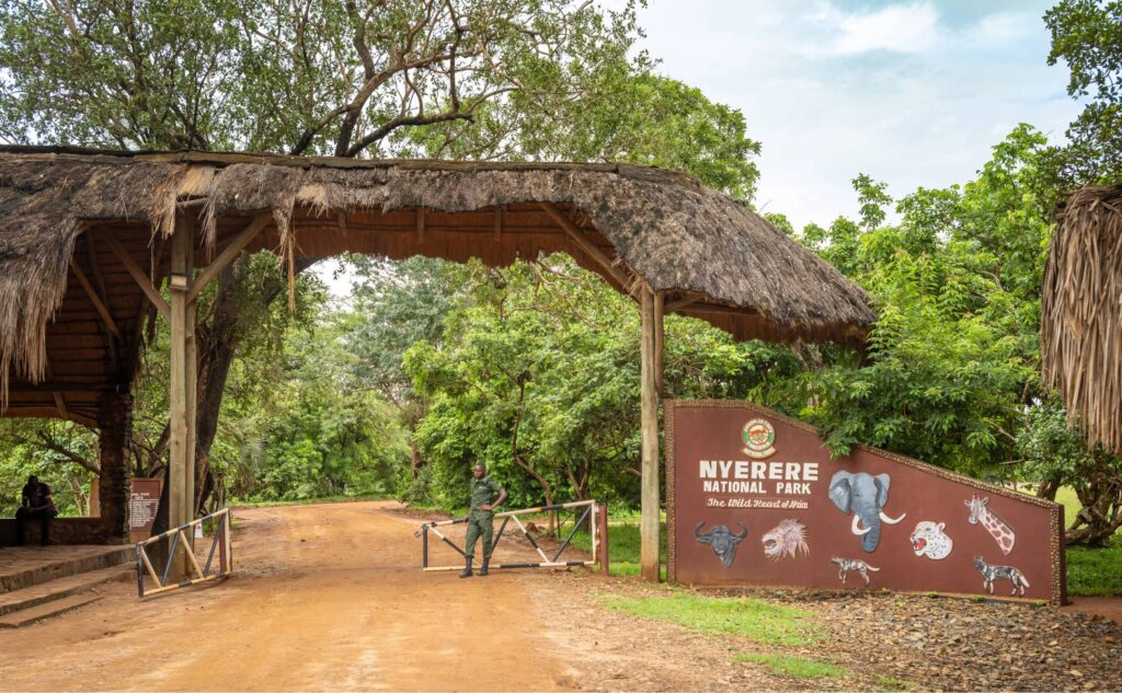 Discover the Wild Heart of Tanzania at Nyerere National Park Thumbnail