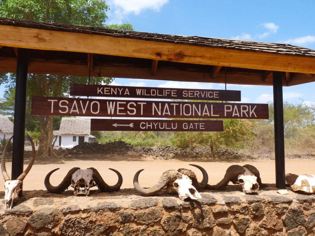 Discover the Wild Heart of Kenya at Tsavo National Park Thumbnail