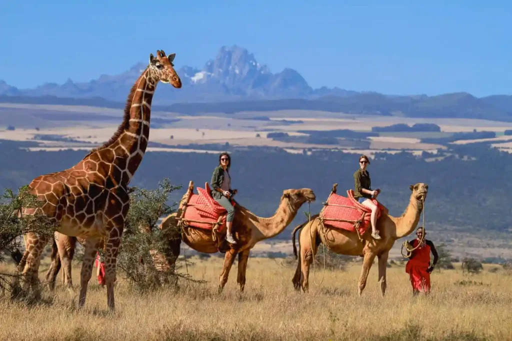 Explore Kenya: Top Destinations for Your Dream Vacation Thumbnail