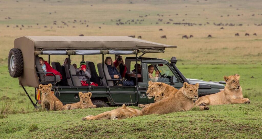 5 Days Kenya Safari Package: Ultimate 4 Nights Big Five Adventure from Nairobi Thumbnail