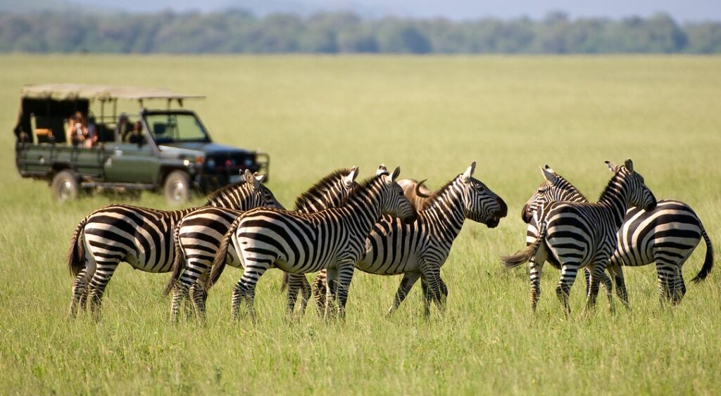 10 Best Cheap Kenya Safari Packages for Couples in 2026. Thumbnail